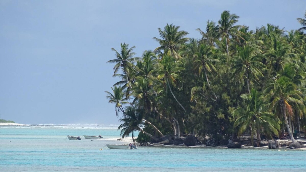 Nachtrag zu Palmerston (Franz)