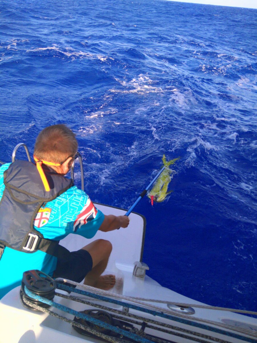 Mahi Mahi🐟(Franz)